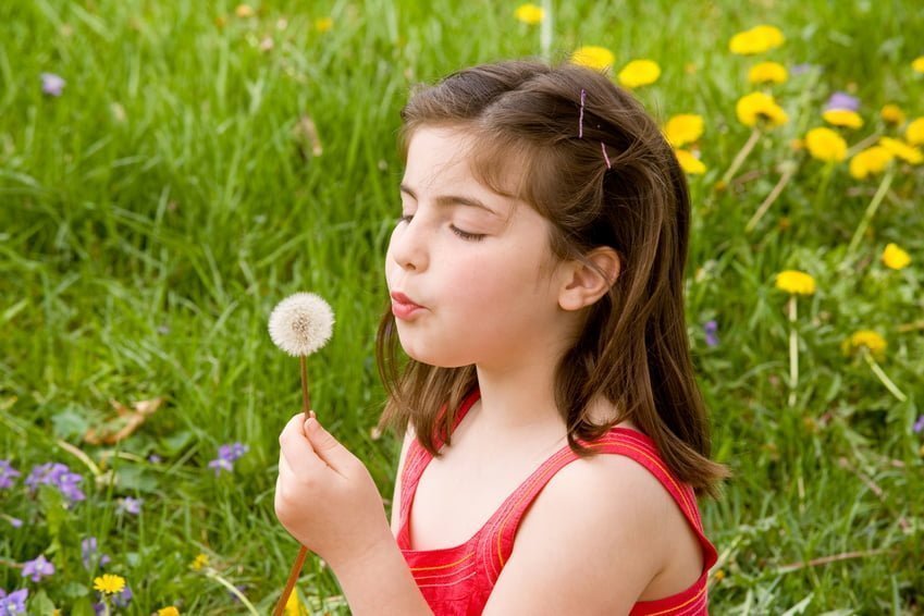 The Power of Dandelions