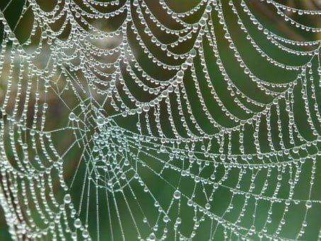 The Invisible Threads of Life Awakening Self