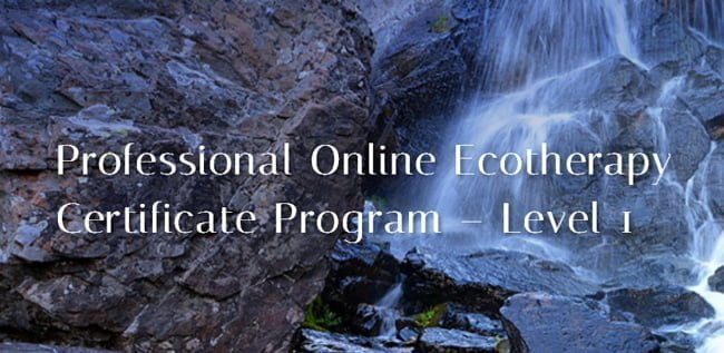 Professional Online Ecotherapy Certificate Program Level 1